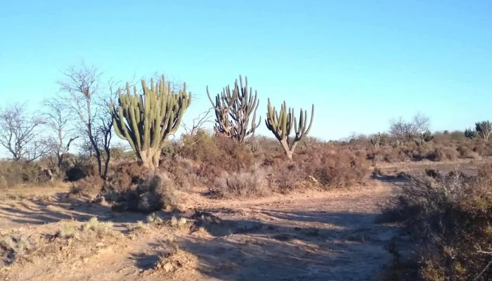 Fm Impacto 931 De Los Visitantes - Villa Atamisqui