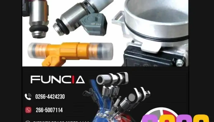 Funcia Centro De Repuestos Y Servicios -  Interior - San Luis