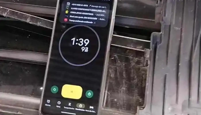 Furlan Electronica Automotriz Del Propietario - Villa Ocampo