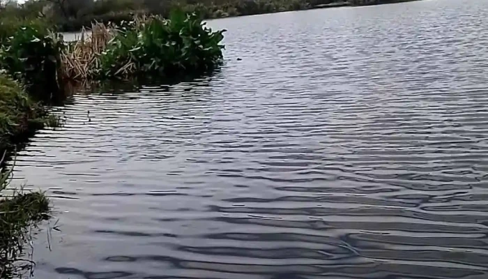Ibicuy Entre Rios -  Videos - Ibicuy