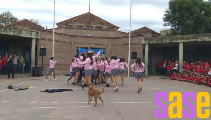 Instituto Dante Alighieri - Venado Tuerto