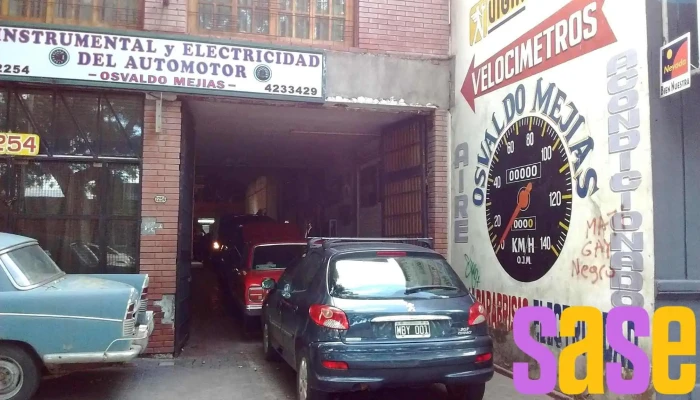 Instrumental Y Electricidad Del Automotor Ojmejias Del Propietario - Mendoza