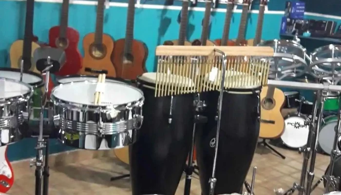 La Moneda Casa De Musica Instrumento De Percusion - Cmte. Luis Piedrabuena