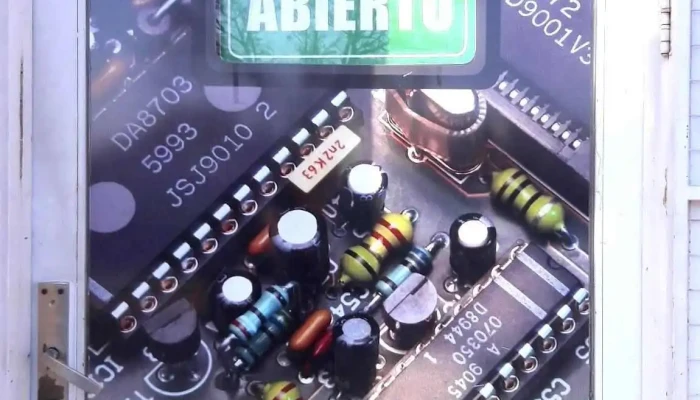 Ld Electronica Del Propietario - San Luis