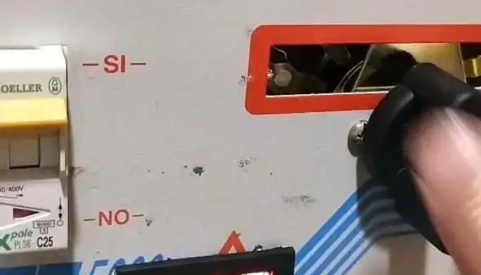 Lea Electricidad Videos - Saladas