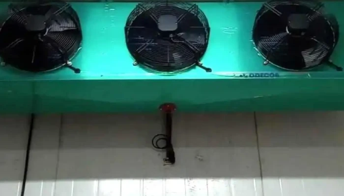 Mauricio Ceroleni Camaras De Frio Servicios Electricos Del Propietario - Mocoreta