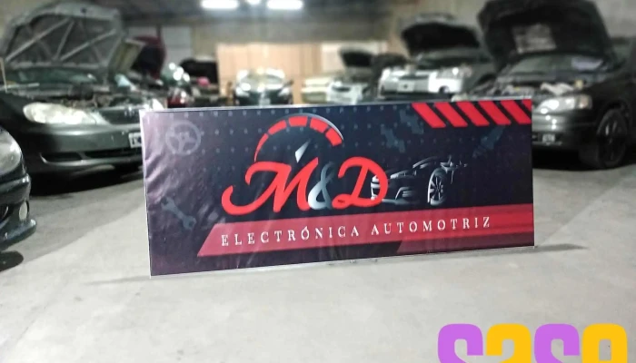 Md Electronica Automotriz Del Propietario - San Luis
