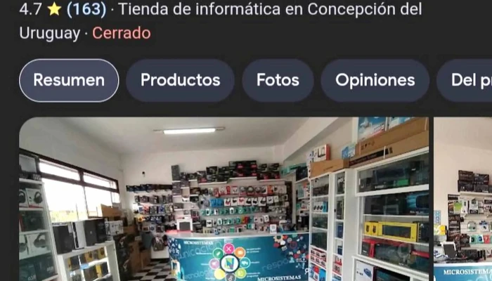 Microsistemas -  Opiniones - Concepción del Uruguay