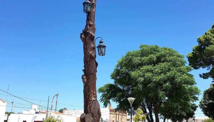 Municipalidad De Concaran Numero - Concaran