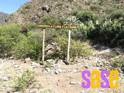 Municipalidad De Valle Fertil Mas Recientes - Villa San Agustín