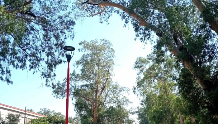 Parque Aguirre -  Precios - Santiago del Estero