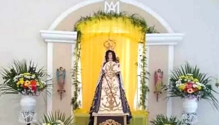 Parroquia Nuestra Senora Del Rosario De Caa Cati Telefono - Caá Catí