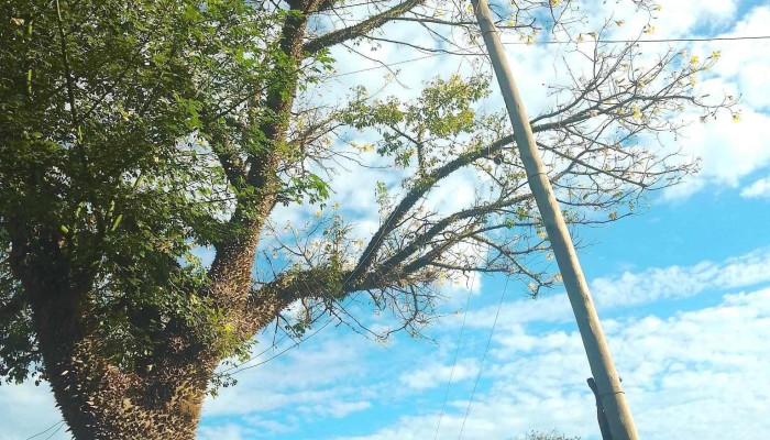 Perugorria Corrientes -  De Los Visitantes - Perugorria