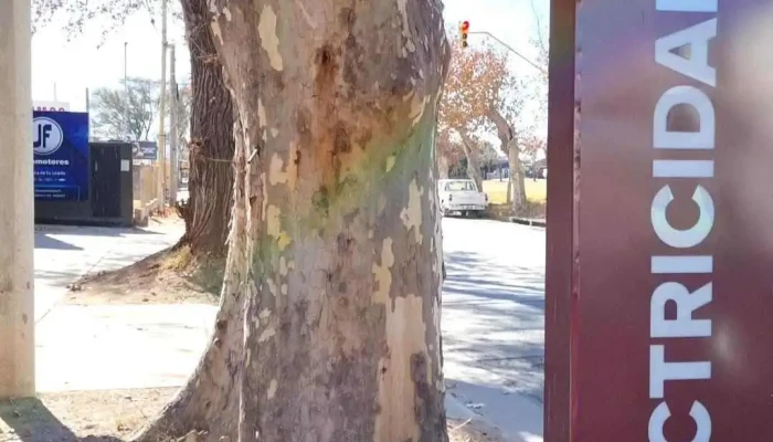Prone Electroiluminacion -  Videos - Río Cuarto