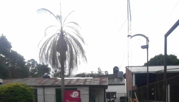 Radio Caracol 895 Mhz Emisora De Radio - W3302 Ituzaingó