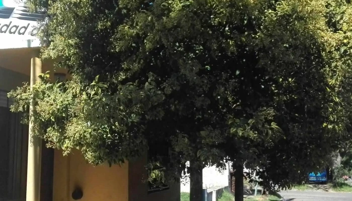 Radio Ciudad De Lujan Abierto Ahora - Luján