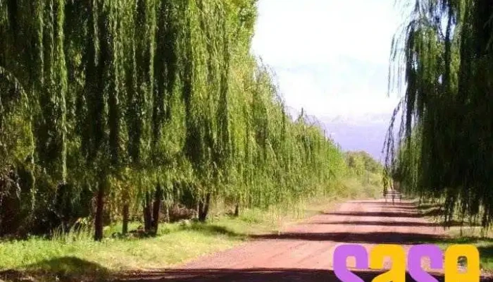Radio Fm La Roca -  Del Propietario - Barreal