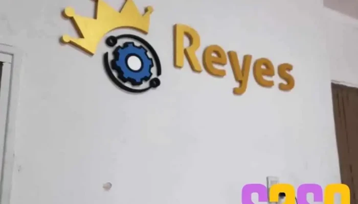 Reyes Servicio Tecnico De Lavarropas Automaticos Del Propietario - Rodeo de la Cruz