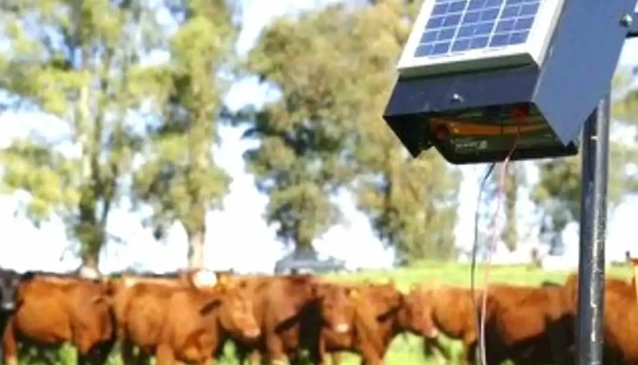 Rigelec Electricidad E Iluminacion Energia Solar Videos - Concordia