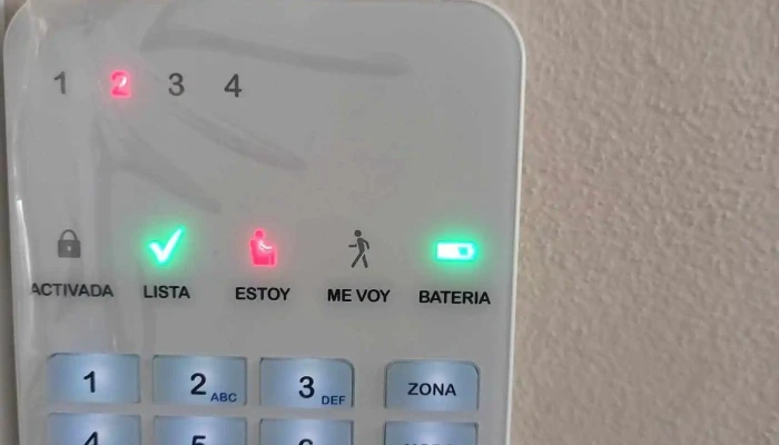 Sistemas De Seguridad Y Electricos -  Del Propietario - Laborde