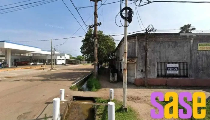 Transnea - Monte Caseros