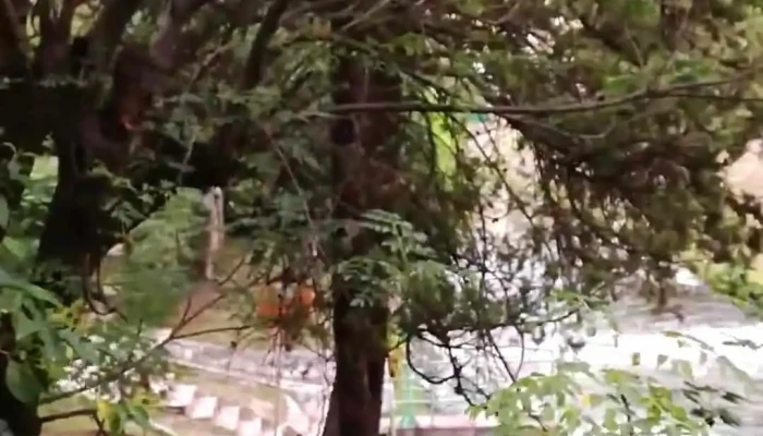 Usina La Calera -  Videos - La Calera