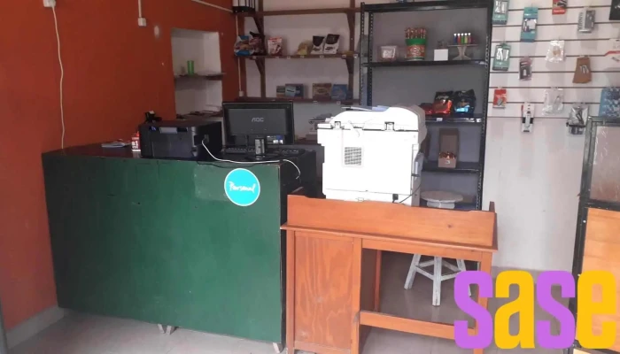 Viejo Lobo -  Interior - Perugorria